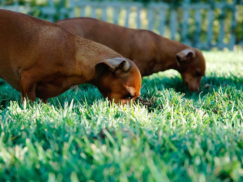 废土拾荒者<br>ujcbtdu.cn 垃圾佬的荣耀